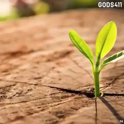 How We Can Start Acknowledging Our Blessings